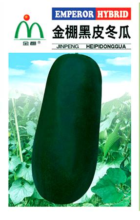 金棚黑皮冬瓜- 其它蔬菜系列