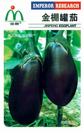 金棚罐茄- 其它蔬菜系列