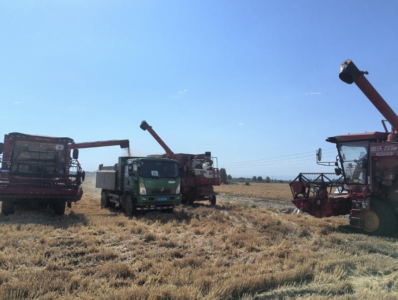 杨凌伟隆  伟隆169 (1).png