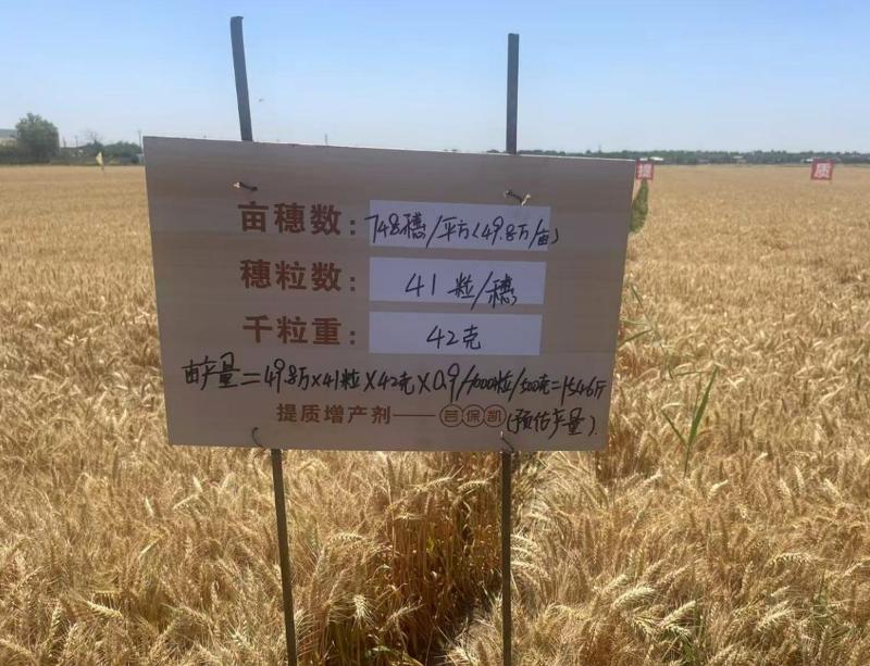 杨凌伟隆  伟隆169 (2).png