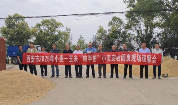 ca37a65a7a7f97d5430ce1cc8c6b5dd