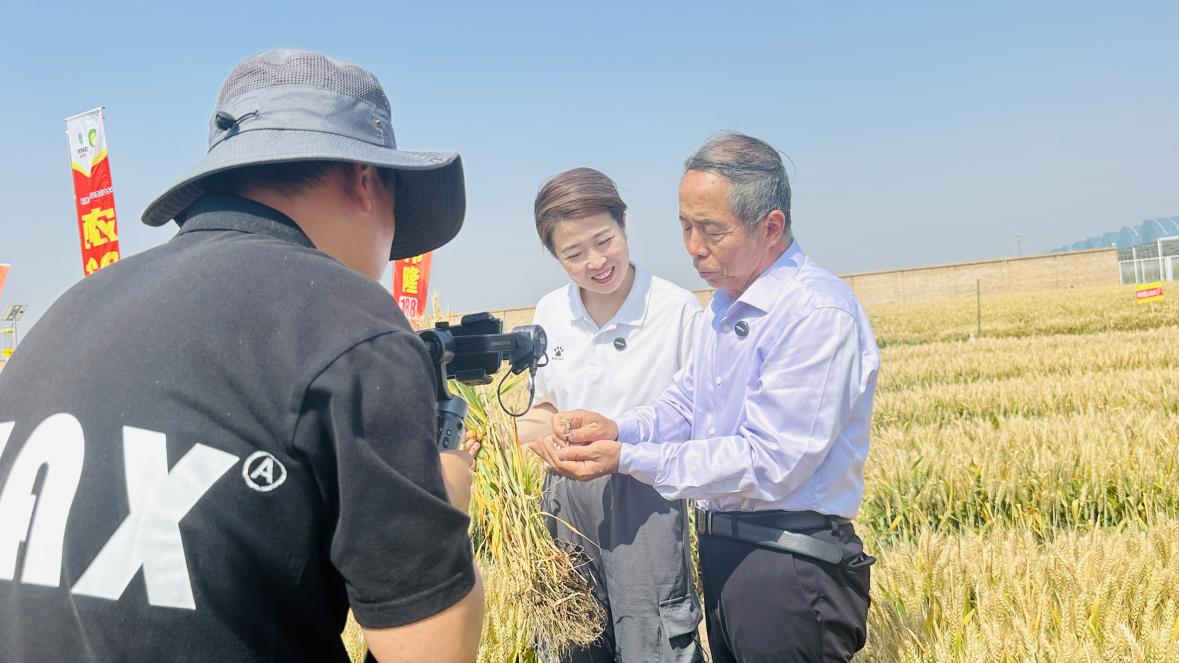 微信图片_20250530100437