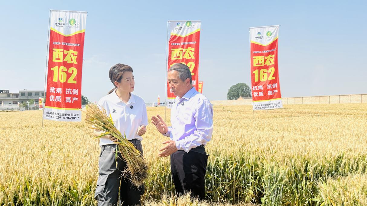 微信图片_20250530100811