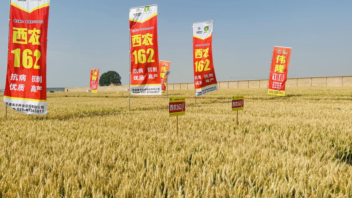 微信图片_20250530100453